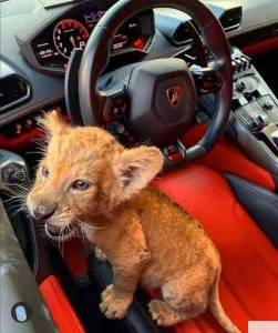 ВАХТА КУРСК!!!!!!