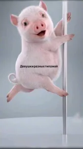 Высокооплачиваемая работа для девушек, Краснодар!