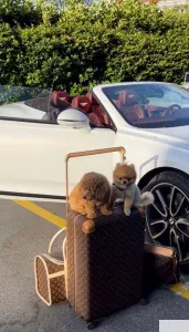 Москва! С нами легко работать и зарабатывать!